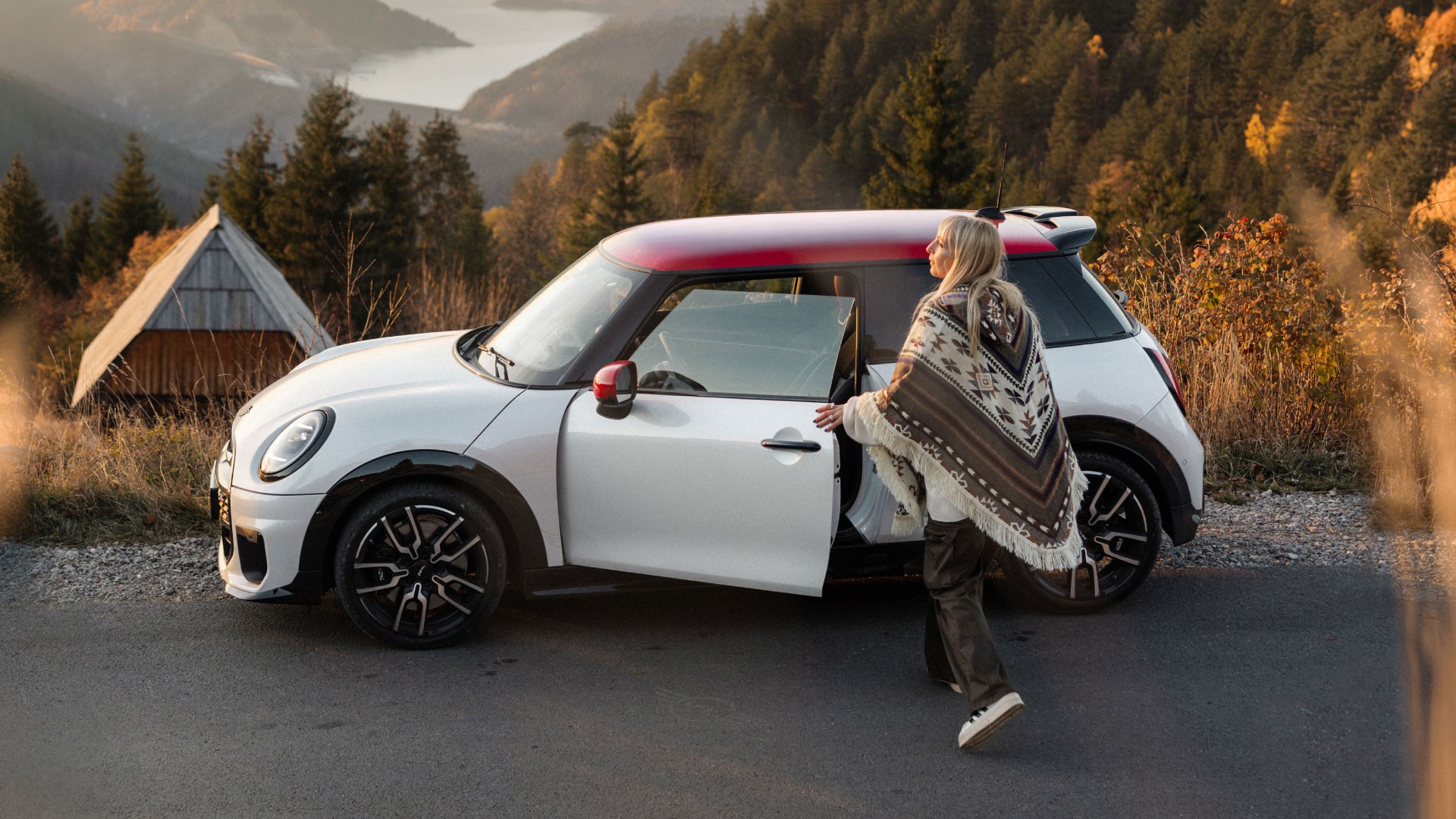 Image of Steering wheel